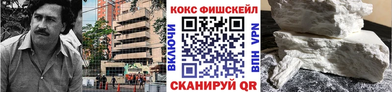 магазин    Лысьва  мега вход  Cocaine Fish Scale 