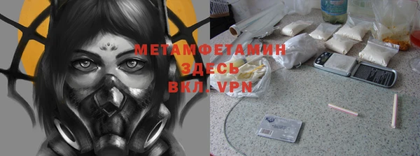 крисы Алзамай