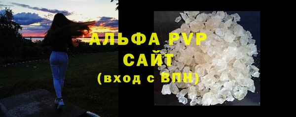 крисы Алзамай