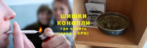 сатива Абаза