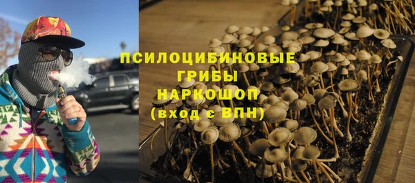 трава Новодвинск