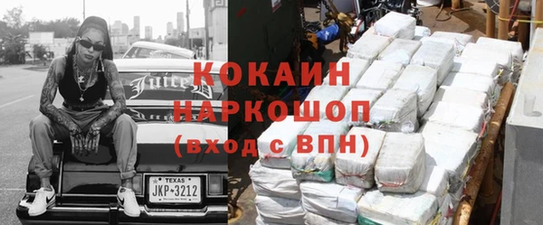крисы Алзамай