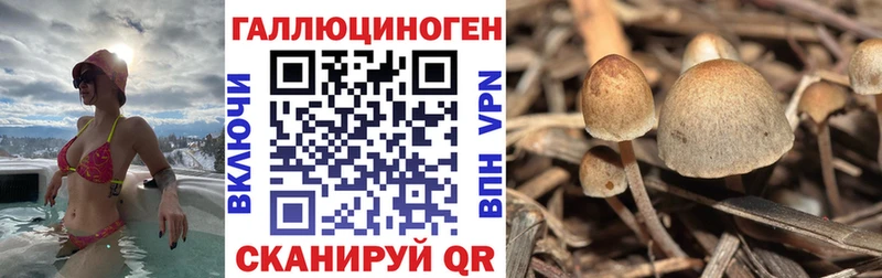 купить наркотики сайты  Лысьва  блэк спрут зеркало  Псилоцибиновые грибы Magic Shrooms 